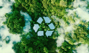 5 New Recycling Technology Trends in 2022