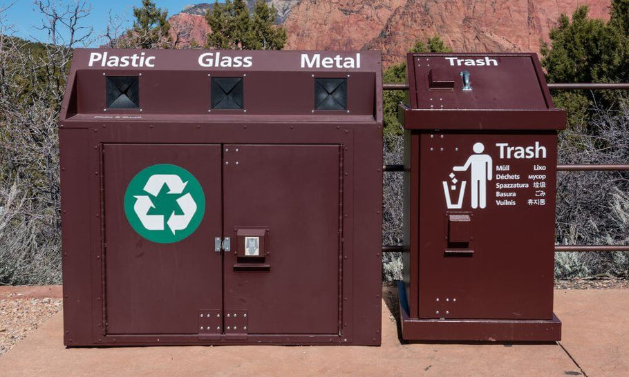 How Are Government Programs Advancing Waste Management?